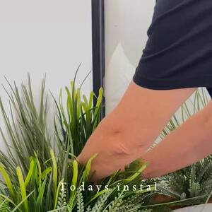 A fresh touch of greenery — without the upkeep 🌿

This therapy clinic’s planter box was transformed with lush artificial greenery, adding softness, texture and a natural feel to the space.

Designed to last... Styled to soothe!

#artificialgreenery #artificialplants #greenerydesign #fauxgreenery #indoorgreenery