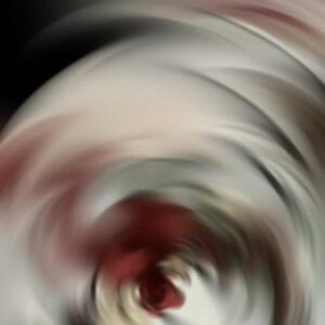 Some of our lovely customers have shared images of the wreaths they recently created....

It's always so nice to see their creations adorning their doors, walls or staircases!

Thank you all for sharing! 🎄✨

#floweramasydney #artificialflowers #wreathmaking