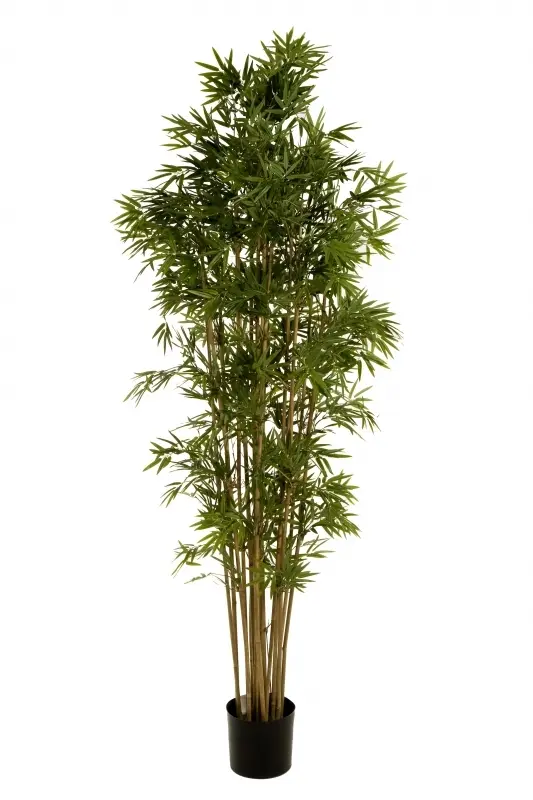 Artificial Bamboo Japanese Tree<br>Natural Stem - 1.9m