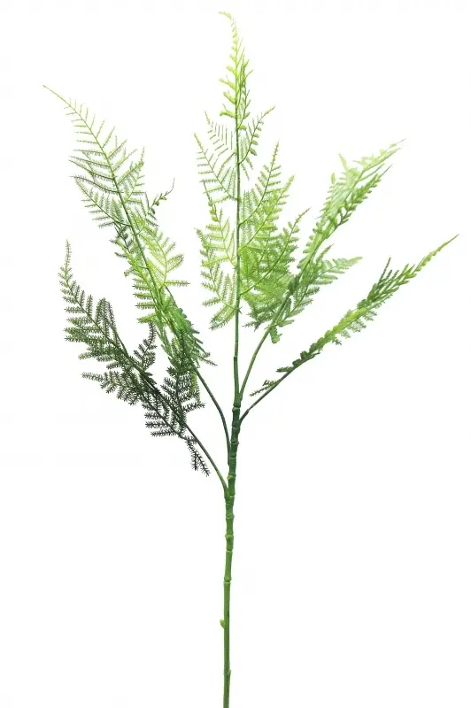 1. Artificial Asparagus Fern<br>74cm