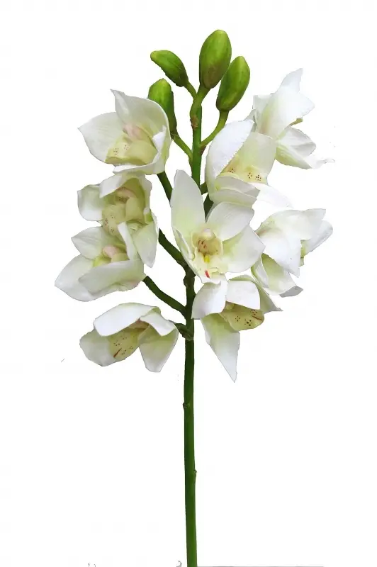Main Image Artificial Cymbidium Orchid<br>White