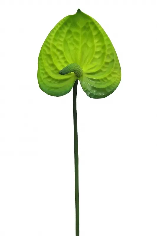 Main Image Artificial Anthurium<br>Green