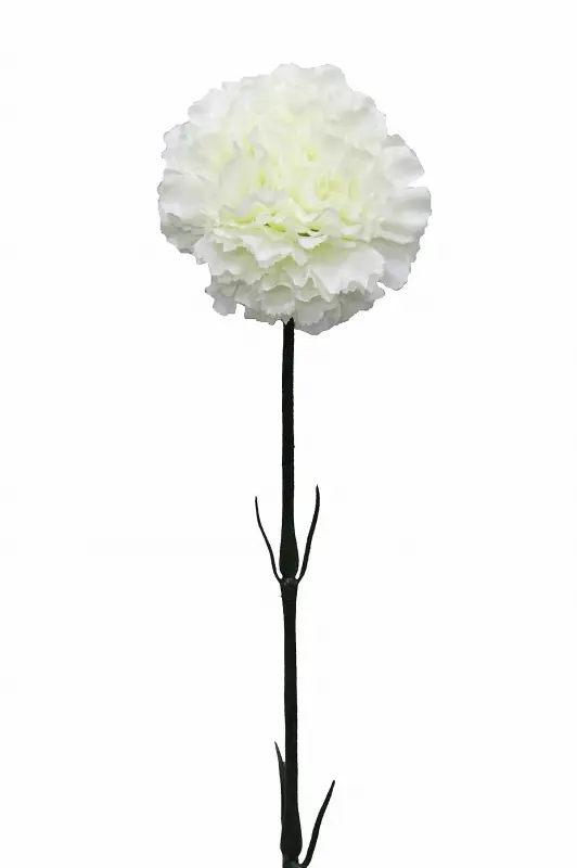 Artificial Carnation<br>White
