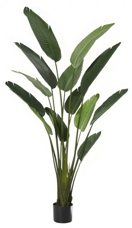 Main Image Artificial Bird Of Paradise Plant<br>1.8m