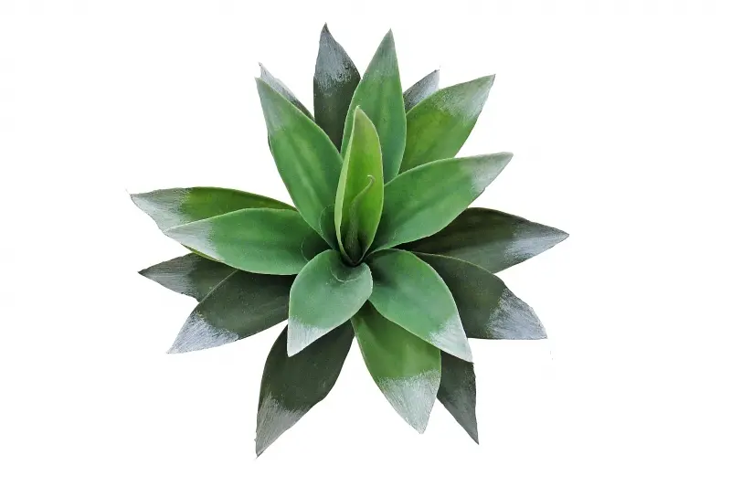 Main Image Artificial Agave<br>30cm
