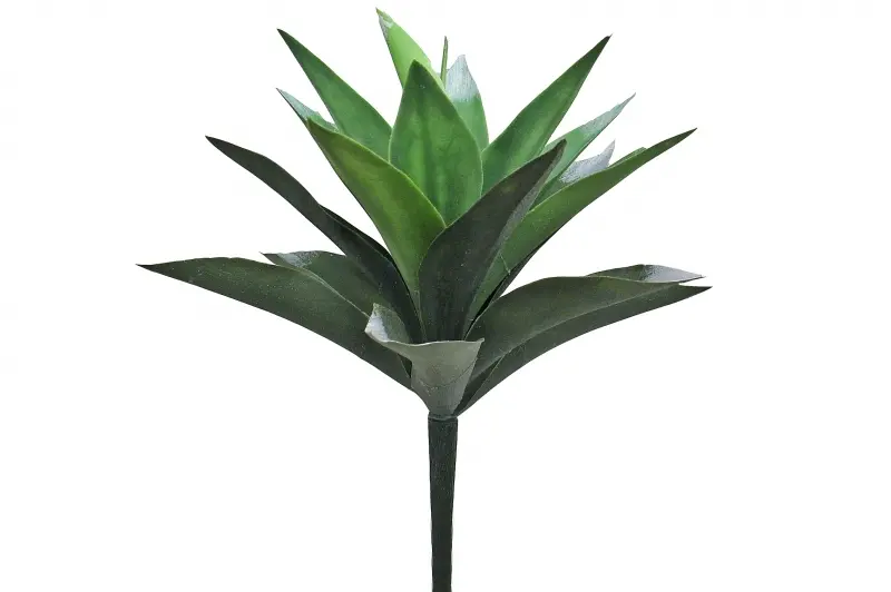 1. Artificial Agave<br>30cm