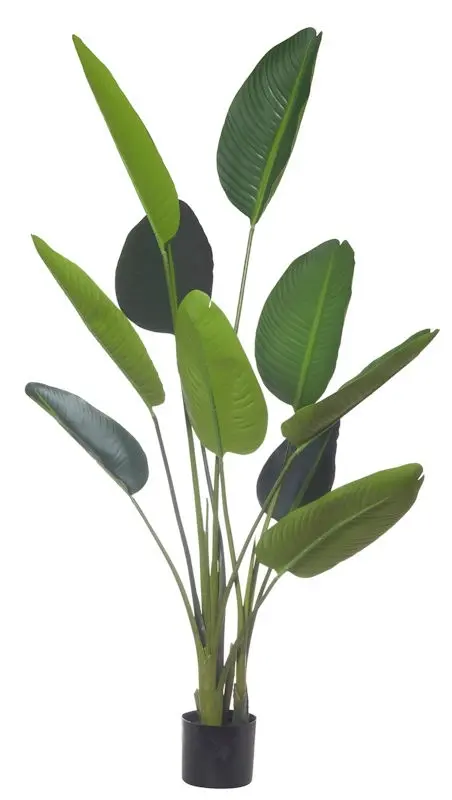 Artificial Bird of Paradise Plant<br>Gloss Leaf - 1.5m