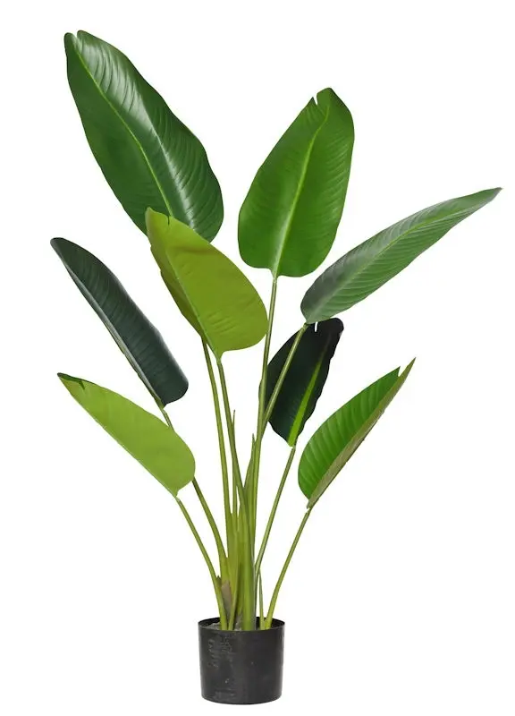 Artificial Bird of Paradise Plant<br>Gloss Leaf - 1.22m