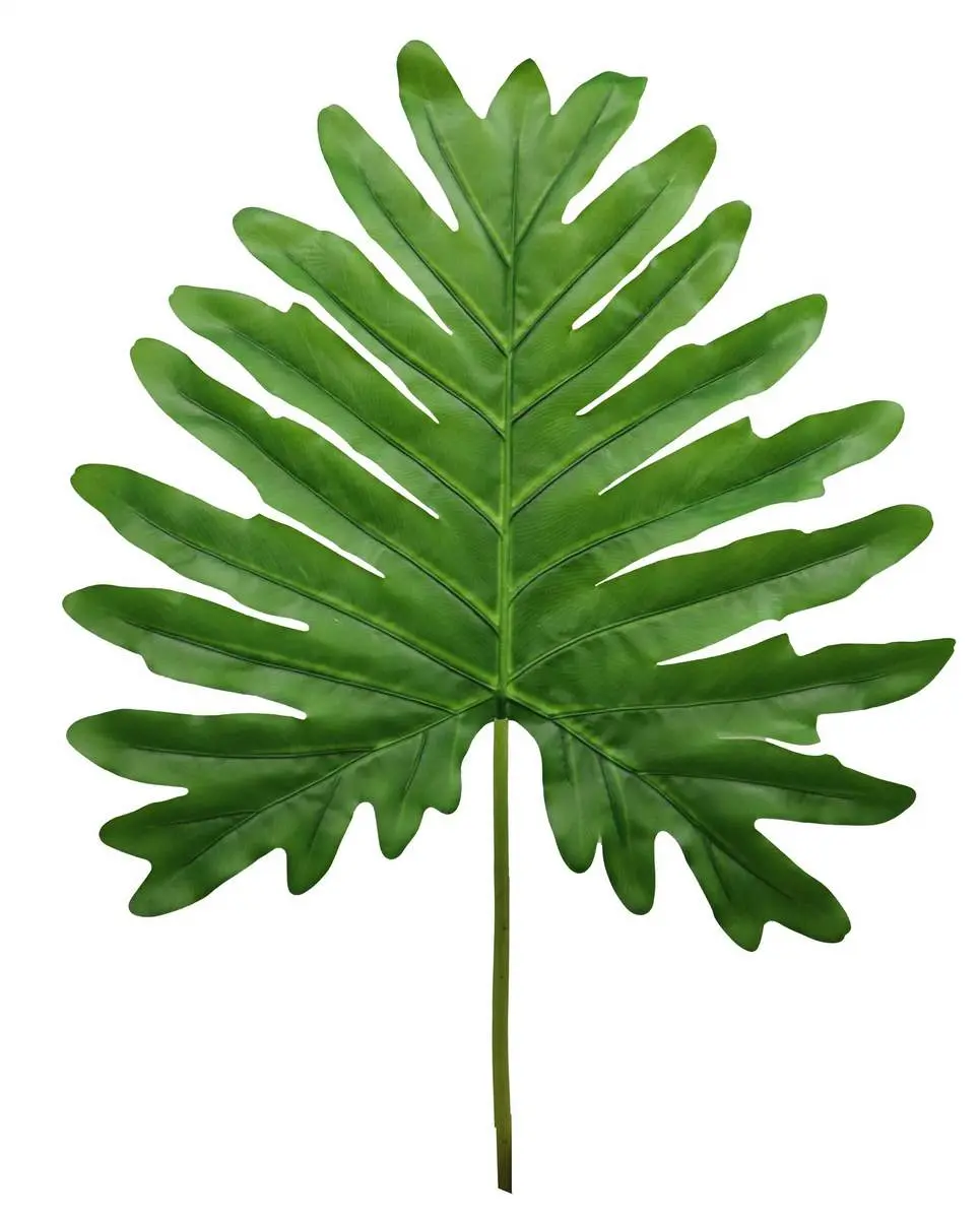 Main Image Artificial Aralia Leaf<br>102cm