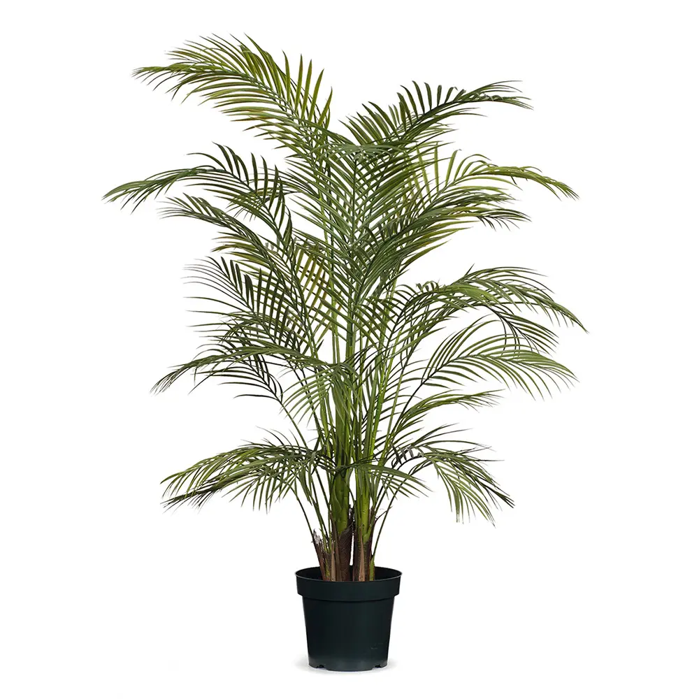 Main Image Artificial Areca Palm<br>1.6m