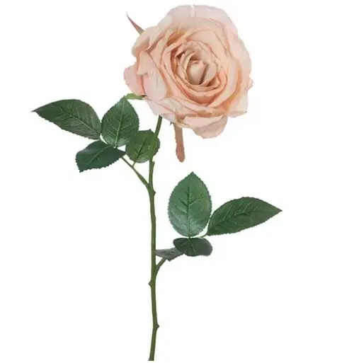 1. Artificial Calista Rose<br>Cream