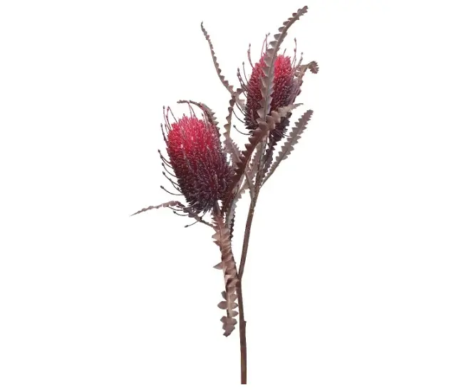 Main Image Artificial Banksia Spray x2<br>Red