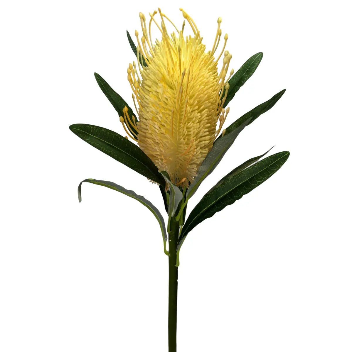Main Image Artificial Banksia Stem<br>Champagne