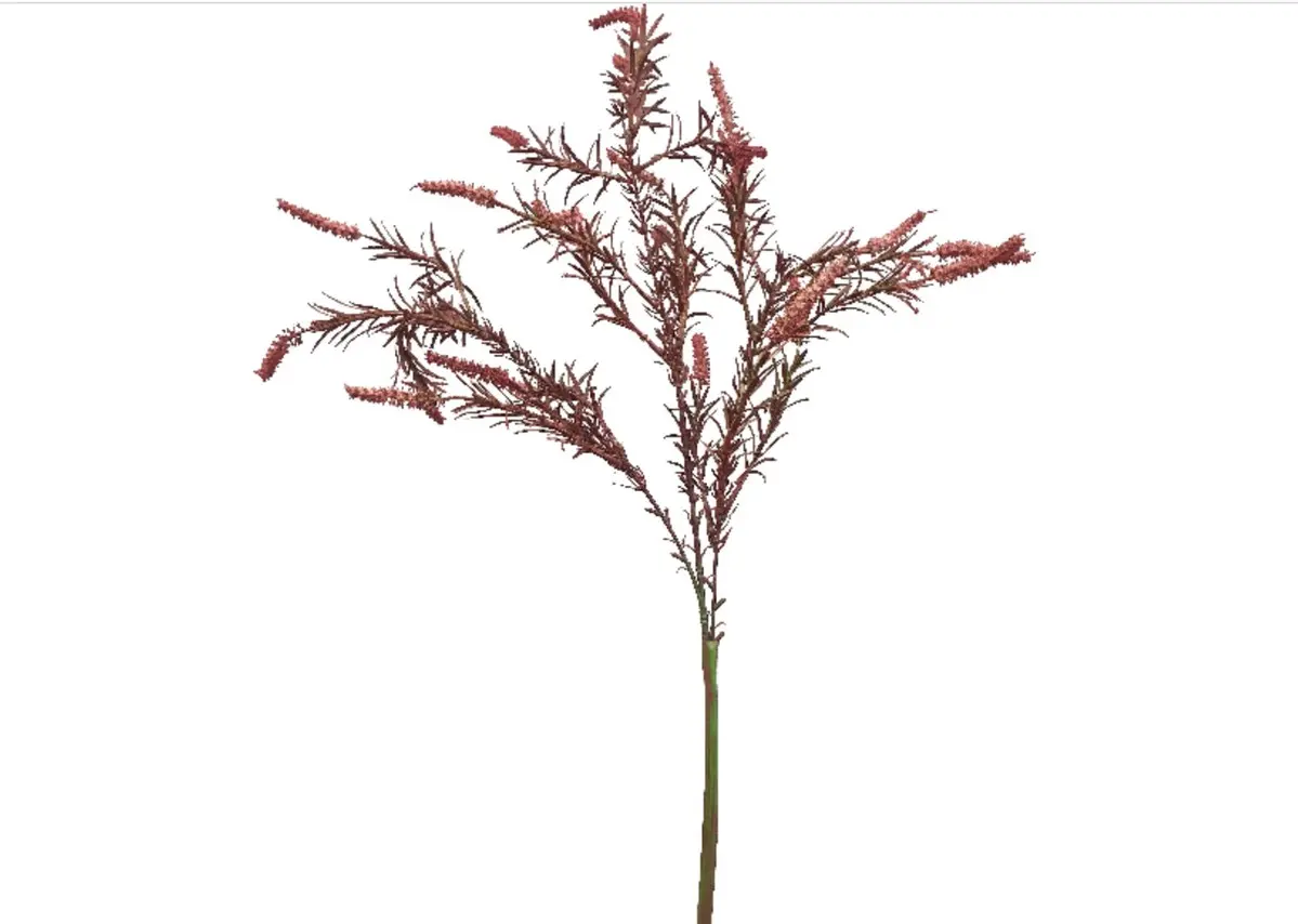 Main Image Artificial Amaranthus Salvia Spray<br>Burgundy