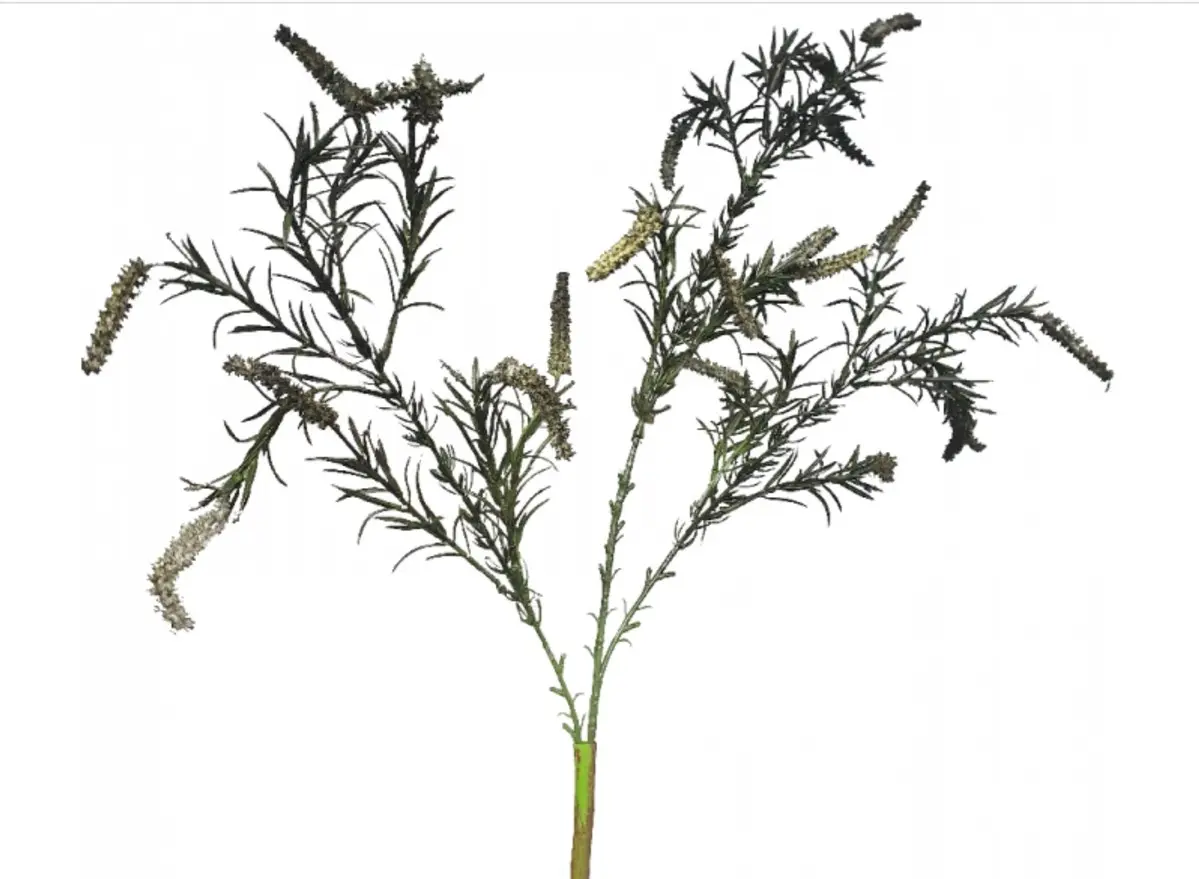 Main Image Artificial Amaranthus Salvia Spray<br>Grey/Green