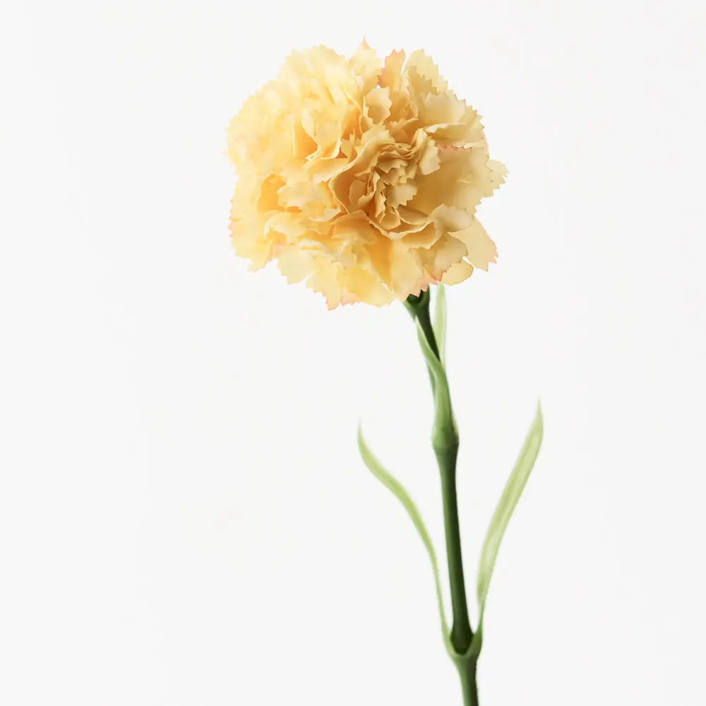 Main Image Artificial Carnation-Real Touch<br>Yellow
