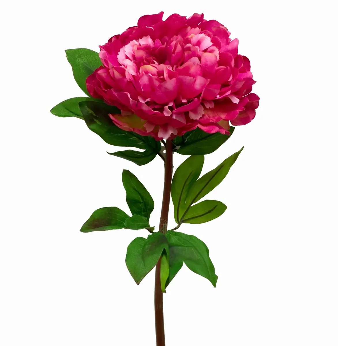 Artificial Full Bloom PeonyFuchsia Artificial Flowers Silk Flowers / Artificial Peonies AF109