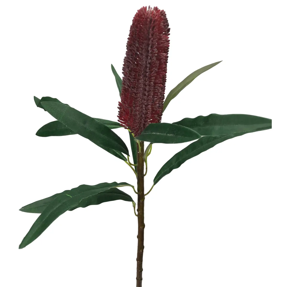Main Image Artificial Banksia<br>Red