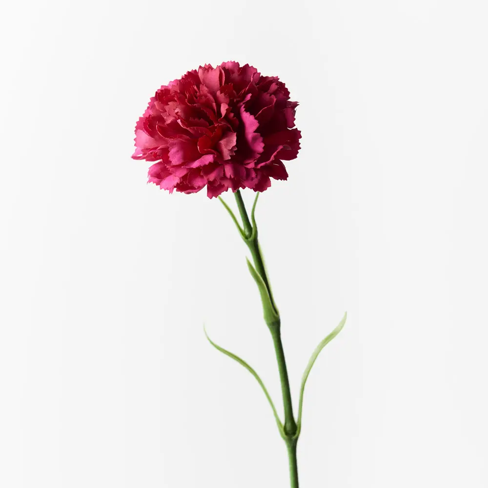 Artificial Carnation-Real Touch<br>Fuchsia