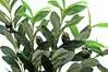 Artificial Olive Stem <br>90cm thumbnail