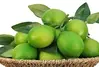 Artificial Lime Cluster thumbnail