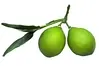 1. Artificial Lime Cluster thumbnail