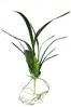 1. Artificial Spider Orchid Leaf and Roots<br>42cm thumbnail