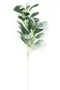 1. Artificial Lambs Ear<br>70cm thumbnail