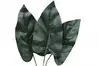 Artificial Calla Lily Leaf<br>50cm thumbnail