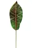 1. Artificial Croton Leaf<br> 46cm thumbnail
