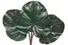 Artificial Ligulafia Leaf<br>65cm thumbnail