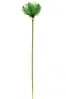 1. Artificial Papyrus Spray<br>85cm thumbnail