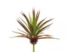1. Artificial Spikey Succulent<br>20cm thumbnail