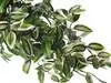 Artificial Hanging Wandering Jew Bush<br> 50cm thumbnail