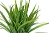 Artificial Grass Bush<br>Light Green thumbnail