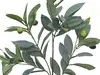 Artificial Olive Spray<br>67cm thumbnail