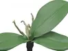 Artificial Phalaenopsis Orchid Leaf<br>Spray x 3 thumbnail