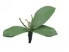 1. Artificial Phalaenopsis Orchid Leaf<br>Spray x 3 thumbnail