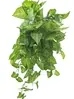 1. Artificial Hanging Syngonium Bush<br>75cm thumbnail