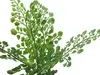 Artificial Maiden Hair Fern Pick<br>30cm thumbnail