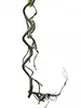1. Artificial Curly Stick thumbnail