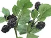 1. Artificial Blackberry Spray<br>Black thumbnail