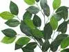 Artificial Camellia Leaf Spray<br>65cm thumbnail