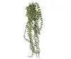 1. Artificial Hanging Button Fern Vine x 7<br>56cm thumbnail