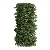 Artificial Ivy Leaf Trellis<br>2m x 1m thumbnail
