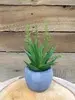 1. DIY Succulents in a Mini Pot<br>Green thumbnail