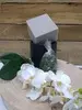 DIY Simple & Stylish Phalaenopsis Orchid Pot thumbnail