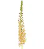 Artificial Eremurus Foxtail Stem<br>Peach thumbnail