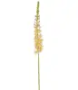 1. Artificial Eremurus Foxtail Stem<br>Peach thumbnail