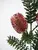 1. Artificial Banksia Spray<br>Burgundy thumbnail